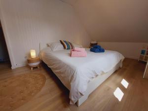 Appartements Les Fontanettes : photos des chambres