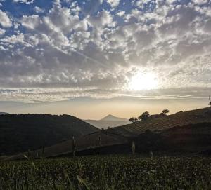 A Casa di Anna img20