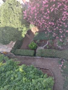 APP Old Garden House