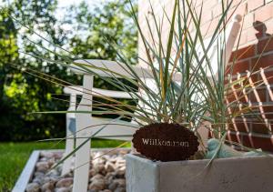 Ferienhaus RH "Achter de Dün"