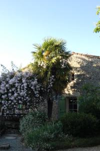 Maisons d'hotes O 4 SAISONS DE BREILBON : photos des chambres