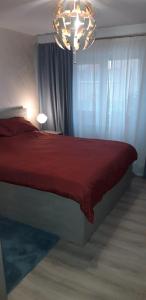 Apartament Alexe