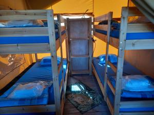Comfort Safaritent 6 pers en Mini Camping