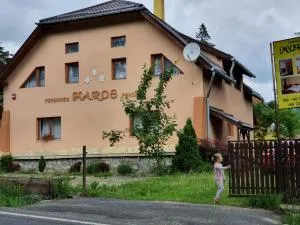 Pensiunea Maros - 伊兹沃鲁穆列什鲁伊