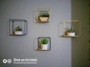 Nuns Moor fully equipped kitchen free parking Netflix