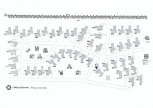 Złoty Całoroczny Kłos