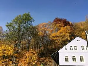 UBYTOVÁNÍ u BRABANTÍKA - Polubný