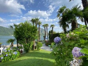 Luganersee, Pool, Strand, Parkplatz, Suite