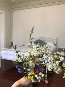 Texas House - Carpinis