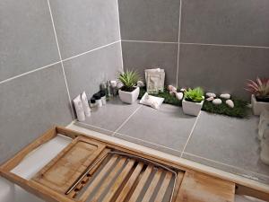Appartements The Green Terrace Disneyland : photos des chambres