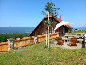 Vineyard Cottage Maleric with Pool Access - Bistrica