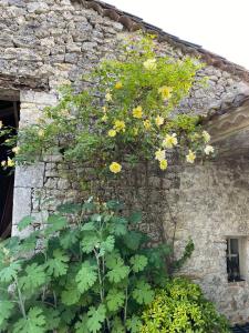 Sejours a la campagne Gite Les 3 Toitures Ecogite le Luquet Saint Beauzeil 82 : photos des chambres