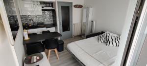 Appartements NEW ! Studio Le Goeland : photos des chambres