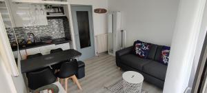 Appartements NEW ! Studio Le Goeland : Appartement 1 Chambre