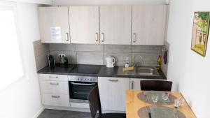 Appartements MAMA with aircon including a parking space at 300 meters : photos des chambres