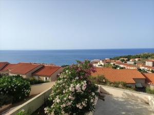 Appartements les angeliques vue panoramique sur la mediterranee : photos des chambres