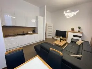 CLASSY TIMES - City Centre - Private Parking - Sunny apartment - 维尔奇斯拉夫科夫