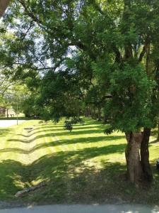 Cute 1-bed cottage with view across park.