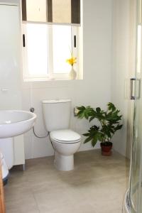 Beautiful 2 Floor Penthouse With Fabulous Views