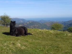 Maisons de vacances Gite individuel au pays BASQUE a 1,5km de ST-Jean-Pied-de-port : photos des chambres