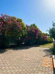 Apartment Kune,Shëngjin