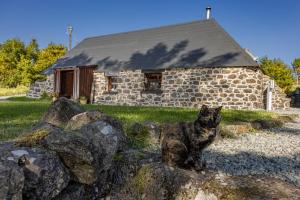 obrázek - Edinbane Self Catering - On the Croft at Edinbane