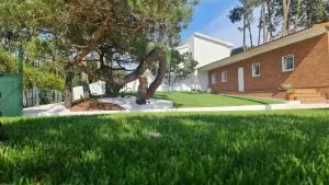 Pinheiro Manso - Cedo Bem