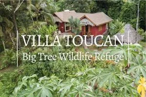 Villa Toucan with National Geographic Views - 蓬塔乌巴
