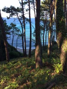 Casa Luis “el Ferre”