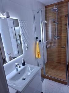 Apartament Luxusowe Karkonosze