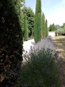 Villas Le festival d'Avignon a pied ou a velo depuis une Magnifique propriete : Villa avec Piscine Privée