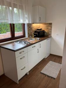 Studio apartman SAN 3