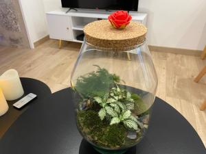 Appartements Trog'Love: Balneo detente dans une troglodyte : photos des chambres