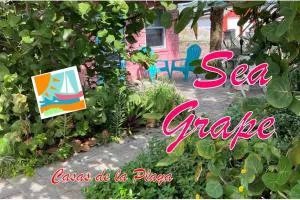 Sea Grape Cottage - At Casas de la Playa Central - فلاغلار بيتش
