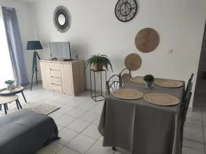 T2 COSY, LUMINEUX ET SPACIEUX - Cayenne