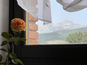 La casa di Gigi