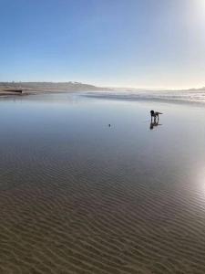 Modern studio apartment with outstanding views, sleeps 2