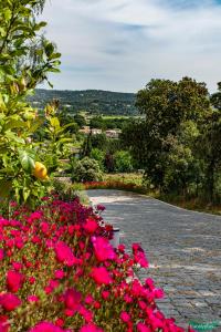 Appartements Le Clos des Eucalyptus : Appartement - Vue sur Jardin