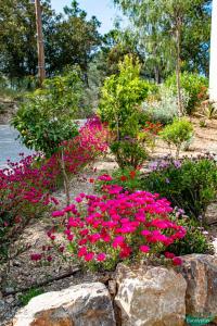 Appartements Le Clos des Eucalyptus : Appartement 1 Chambre