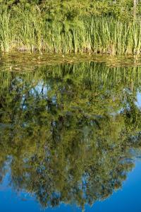 Altanure Casa Terra - Ecological Holiday & Retreats Villa