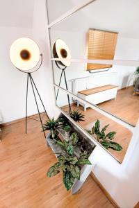 Arcadia - Péniche de Standing à Namur avec vue sur la Citadelle