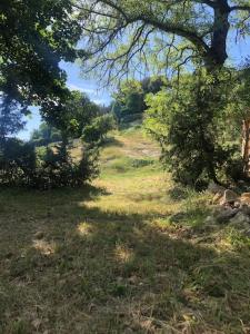 Appartements Logement calme avec vue sur le Luberon : photos des chambres