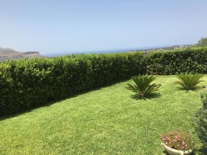 Villa Edori - Giardino degli Allori