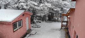 Buenavida Guesthouse