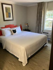 Standard King Room room in Aurora Inn Hotel and Event Center Ascend Hotel Collection