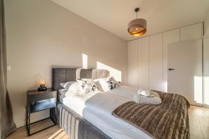 Silver Apartments Mountain Aparts