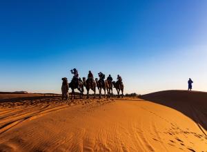 Merzouga Royal Camp