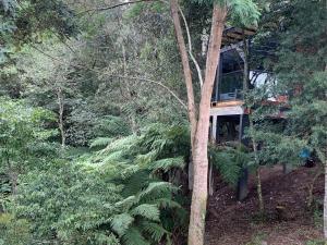 Floresta Secreta- Pousada Cachoeira da Neve