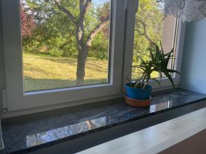 Kopice " Kowalczyk In Nature Parks Blue Velo"