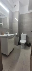 Vila Ame Eforie Nord